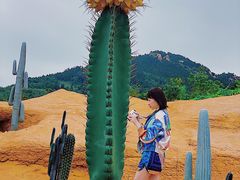 -西海岸生态观光园