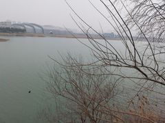 -贡湖湾湿地公园