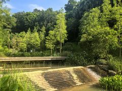 -云溪植物园