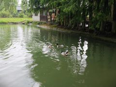 -张家港金凤凰度假村温泉