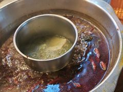 -金鼎雪山牦牛杂火锅(理县总店)