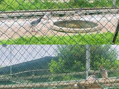 -下渚湖国家湿地公园科普馆