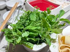 豆苗菜-海底捞火锅(杭州萧山宝龙广场店)