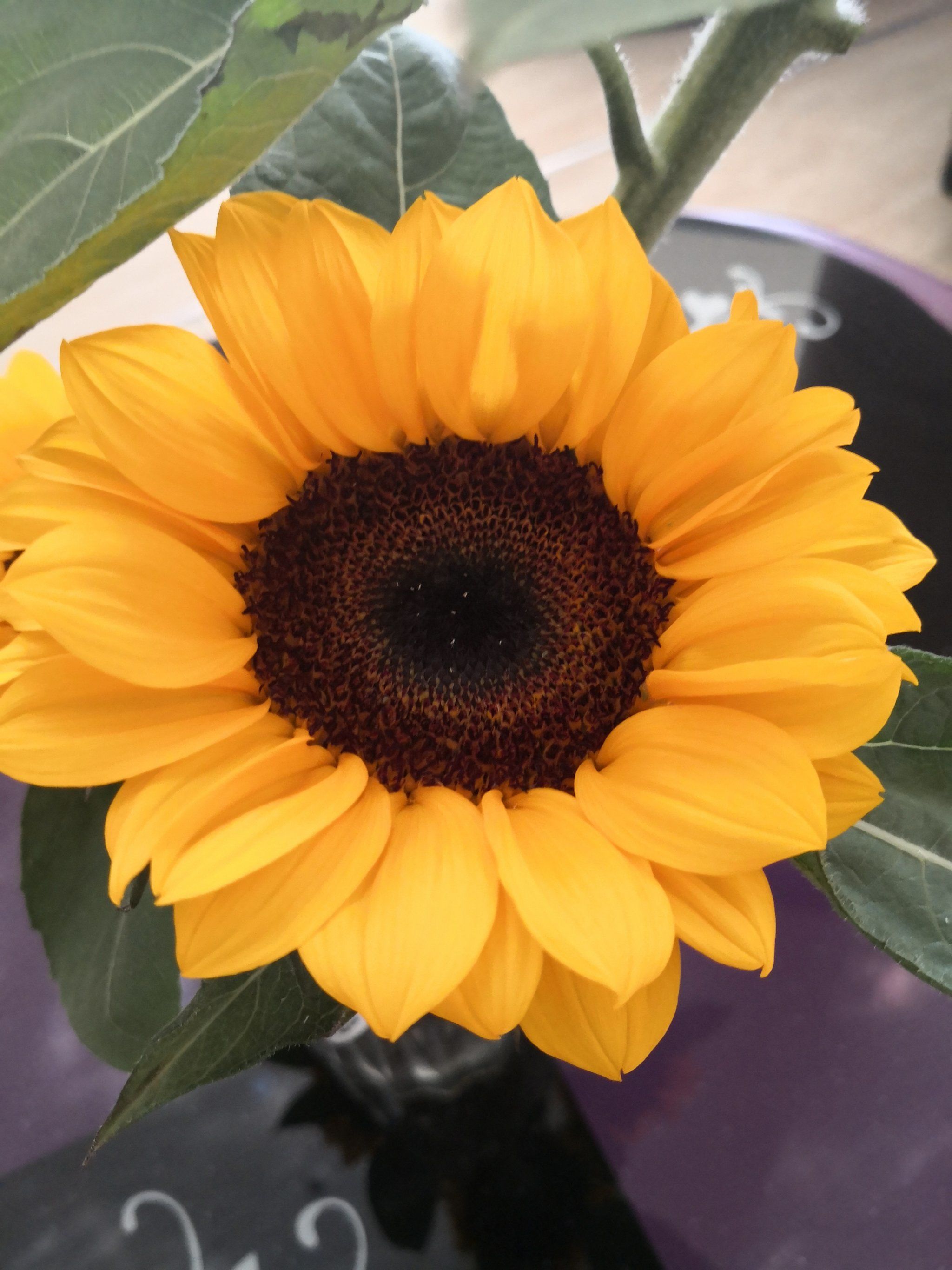 记录 #生活需要仪式感 #给你们看看我的生活 #好看的花一定要分享给你