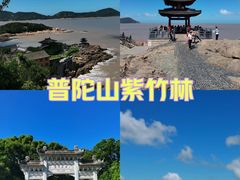 -紫竹林