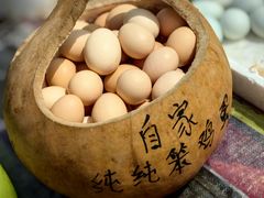 -蒲河大集