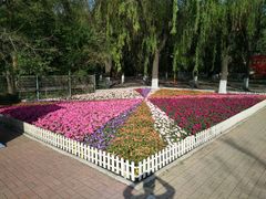 -哈尔滨文化公园