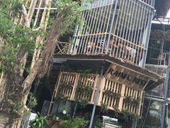 门面-Rainforest