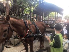 -长鹿旅游休博园
