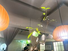 -本处·素食·融合料理(南油店)