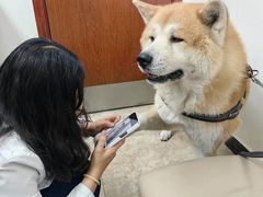 -美联众合动物医院·24h转诊中心