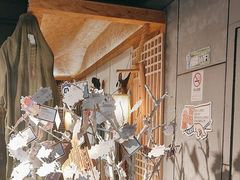 -长藤鬼校(龙翔店)