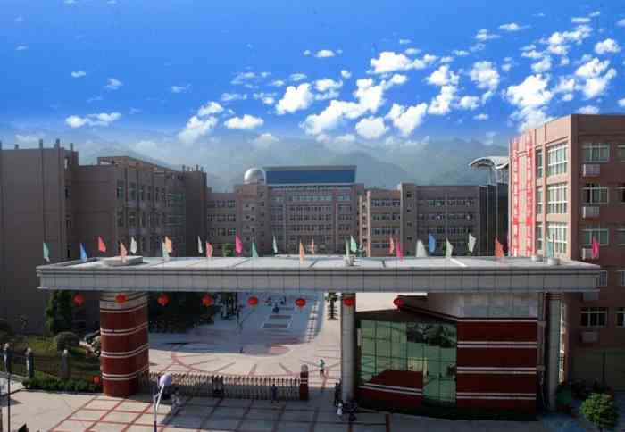 长江中学 现在比以前我读书的时候环境好了很多,大门也改成了自动的