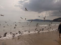 -海云台海滩
