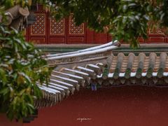 -真庆观