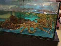 -都市阳光海鲜城(青山湖店)