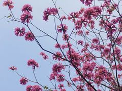 -广州国际生物岛