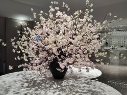 -广州美莱医疗美容医院