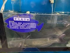 -鱼尚鲜草帽蒸汽鱼(乳山振华商厦店)