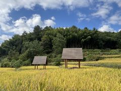 -塔川景区