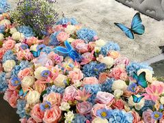 -X88商场(铜仁路店)