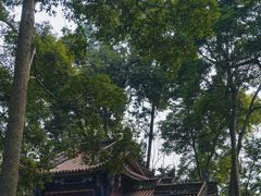 -都江堰普照寺