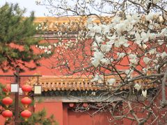 -北京市劳动人民文化宫(太庙)