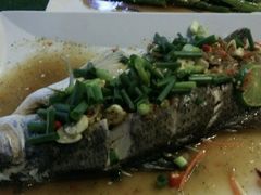 青柠鲑鱼-Daddy Nimman Chiang Mai