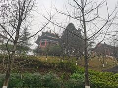 -重庆园博园