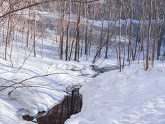 -峡谷浮石林景区