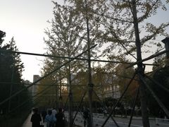 -东北大学(南湖校区)