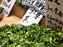 -田园印象·成都土菜院子(华阳店)