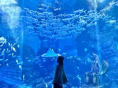 -波塞冬旅游度假区