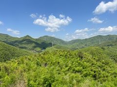-宁波浙东大竹海景区