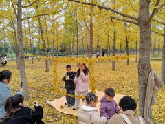 -汉长安城未央宫国家考古遗址公园