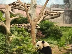 -石排湾郊野公园