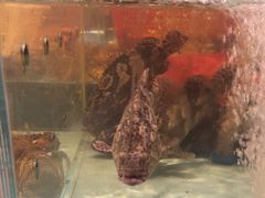 -阿伟海鲜楼·福建菜(延寿店)