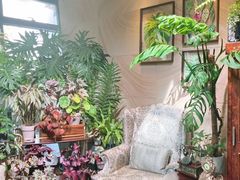 -棕榈岛海鲜自助餐厅(虹桥迎宾馆店)