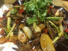 -陈有良尖椒鸡(渝中旗舰店)