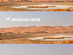 -宁夏博物馆