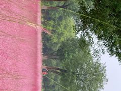 -汉长安城未央宫国家考古遗址公园