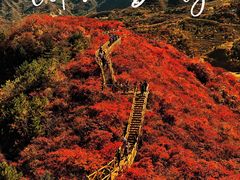-水峪民俗村