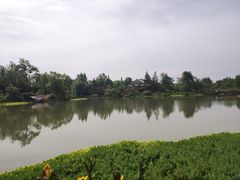 -桤木河湿地公园