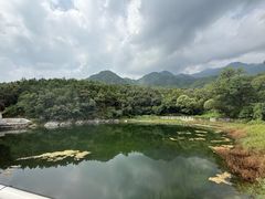 -阳台山自然风景区