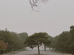 -北陵公园