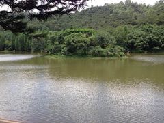-滴水岩森林公园