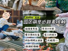 -青岛鑫江温德姆酒店