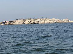 -养马岛旅游度假区