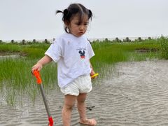 -南汇嘴观海公园