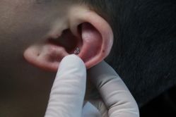 -众刺纹画·纹身·穿孔饰品·海娜定制